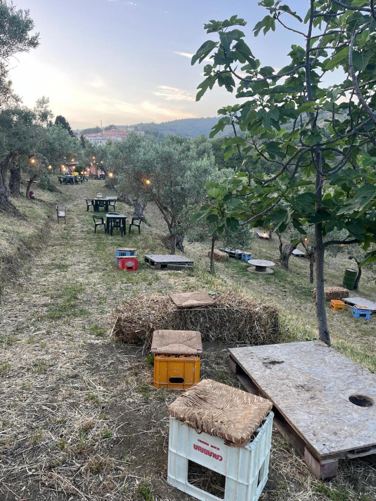Apartmán Casale Carolea Sarrotino Exteriér fotografie